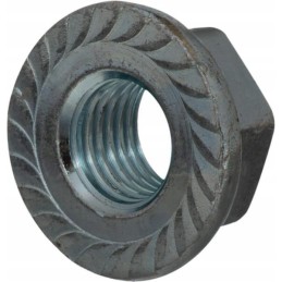 Toothed flange nut m20 cl 8 6923t20