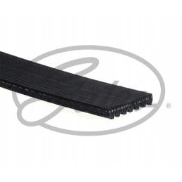 Gates accessory belt 7pk1236