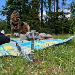 Ground anchor shock absorber for peggy peg dogs