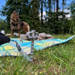Ground anchor with shock absorber for animals