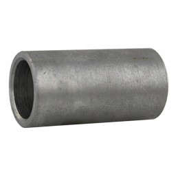 Spring bush 18 01 1134