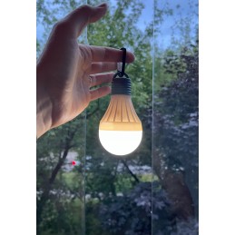 Brunner Lumia battery operated LED lamp