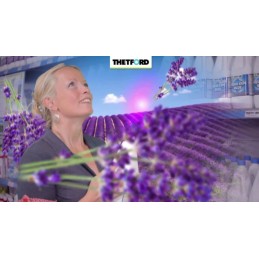 Thetford blue lavender toilet fluid concentrate