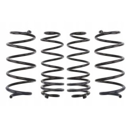 Lowering spring eibach e10 70 010 02 22