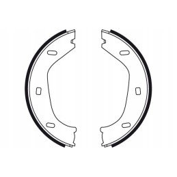 Trw GS8219 Brake Shoe Kits Post Brake