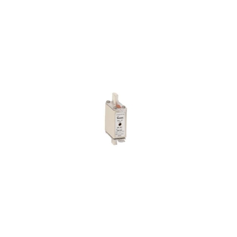 1 pcs : 170M1571D - Specialty Fuses 250A 690V aR DIN 000 HSDNH