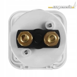 Battery main switch, lever with housing