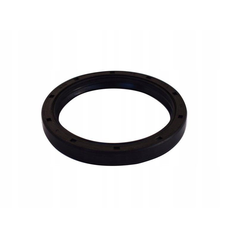 Knott bearing sealing ring 200x50 seals