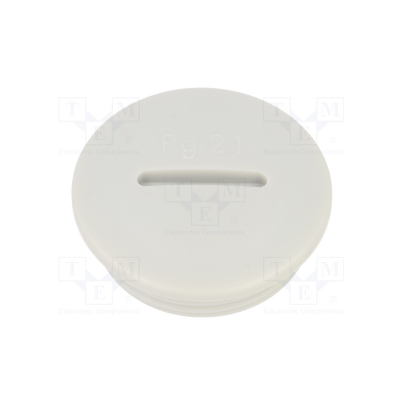 10 pcs x BM GROUP - BM4601 - Stopper, PG21, IP56, polyamide, light grey, Thread: PG, 8mm