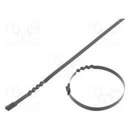 10 pcs x RAYCHEM RPG - BCZ46-200 - Cable tie, L: 200mm, W: 4.6mm, acid resistant steel AISI 316, 445N