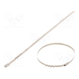 10 pcs x RAYCHEM RPG - BUZ44-260 - Cable tie, L: 260mm, W: 4.6mm, stainless steel AISI 304, 445N