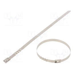 10 pcs x RAYCHEM RPG - BUZ74-260 - Cable tie, L: 260mm, W: 7.9mm, stainless steel AISI 304, 1112N