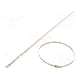 10 pcs x RAYCHEM RPG - BUZ46-260 - Cable tie, L: 260mm, W: 4.6mm, acid resistant steel AISI 316, 445N