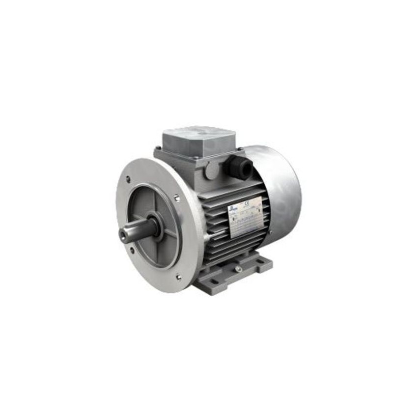 1 pcs - Motovario M Reversible AC Motor, 0.75 kW, IE3, 3 Phase, 4 Pole, 230/400 V