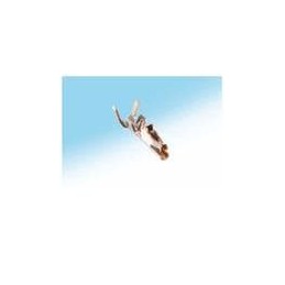 1 pcs : DF50-2830SCFA - Headers & Wire Housings 28-30AWG CRIMP GOLD CONN SOCKET