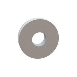1 pcs : 17W08757 - Washers Flat Washer, .312 ID, .875 OD, .187 Thick, Natural, Nylon