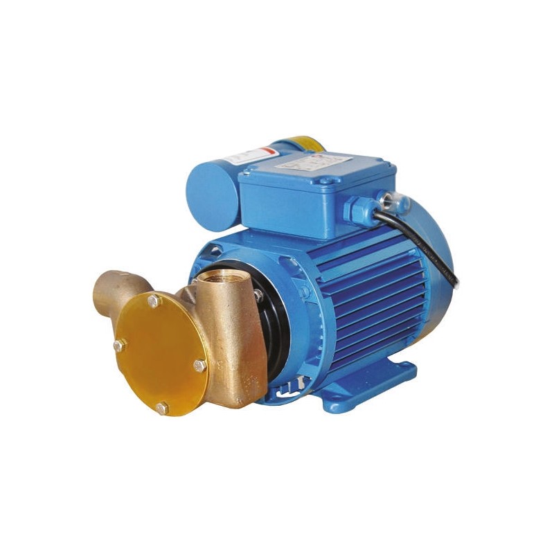 1 pcs - Xylem Jabsco Centrifugal Electric Operated Positive Displacement Pump, 18L/min, 1.7 bar, 230 V
