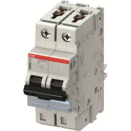1 pcs - ABB SMISSLINE TP MCB, 2P, 6A Curve C, 440V AC
