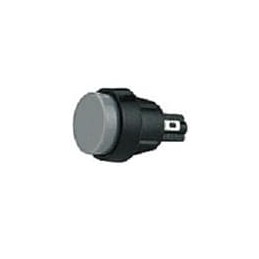 1 pcs : 5000.0101 - Pushbutton Switches PUSHBUTTON SPNO