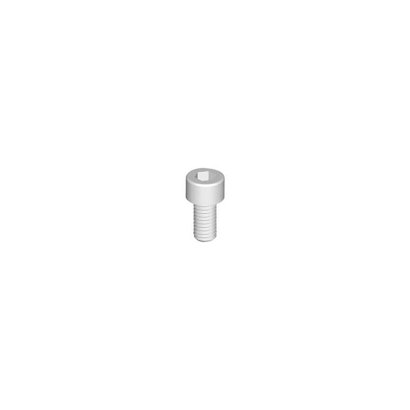 1 pcs : 3425200100 - Screws & Fasteners Hex Socket Cap Screw, 1/4-20 Thread, 1 Lg, Natural,Nylon