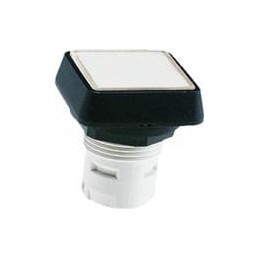 1 pcs : 1.30.070.001/1306 - Switch Actuators SWITCH LIGHTED OPER PROT COLLAR