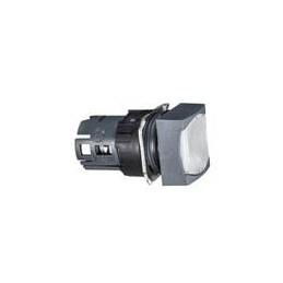 1 pcs : ZB6CW1 - Switch Actuators 16MM ILLUM PB 65168-013