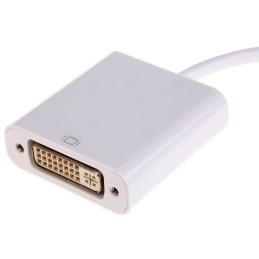 1 pcs - Roline Male Mini DisplayPort to Female DVI-I Dual Link Cable, 100mm