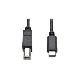 1 pcs : U040-006 - USB Cables / IEEE 1394 Cables 6FT USB 2.0 B/C CBL