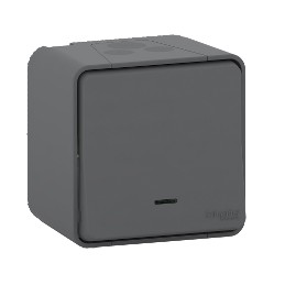 1 pcs - Schneider Electric Light Switch Surface Mount