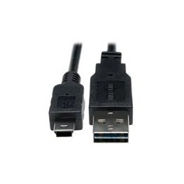 1 pcs : UR030-06N - USB Cables / IEEE 1394 Cables 6' RVRSBL A-M/5PIN B-M USB CBL