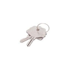 1 pcs : K301 - Switch Fixings ACSNK Standard Key 301 (2 Key