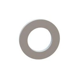 1 pcs : 17W02953 - Washers Flat Washer, .190 ID, .310 OD, .032 Thick, Natural, Nylon