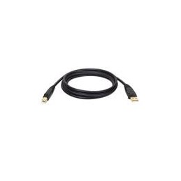 1 pcs : U022-006 - USB Cables / IEEE 1394 Cables 6' 2.0 GOLD USB A/B DEVICE CABLE