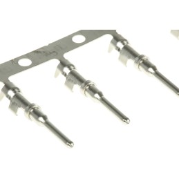 50 pcs - Amphenol, AT Male