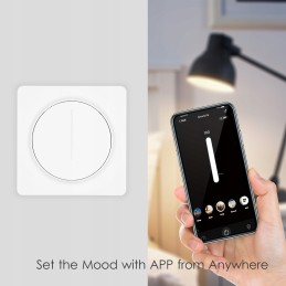 Smart zigbee light switch