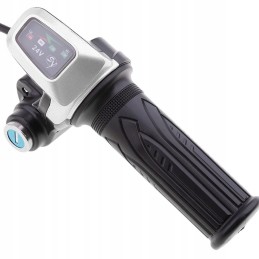 Brushed control 24v 250w