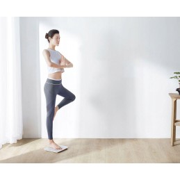 Smart sports bathroom scale xiaomi mi smart scale 2 application
