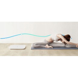 Smart sports bathroom scale xiaomi mi smart scale 2 application