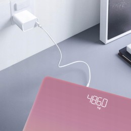 Smart Weight Scale and 400 Pounds Purple