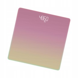 Smart scale highly accurate smart body scale