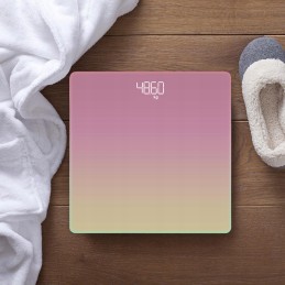 Smart scale highly accurate smart body scale