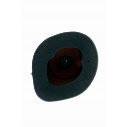 Sponge air filter twin air gas gas ec 450f