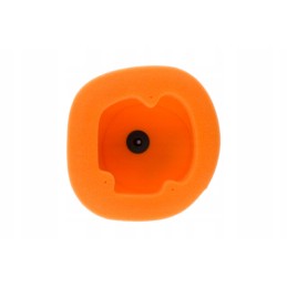 Sponge air filter twin air beta xtrainer 300