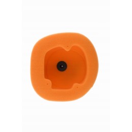 Sponge air filter twin air beta xtrainer 300