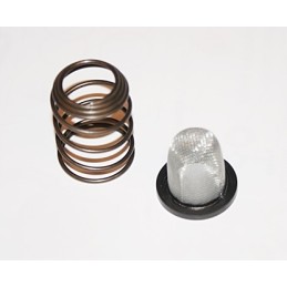 Spring oil filter 4t gy6