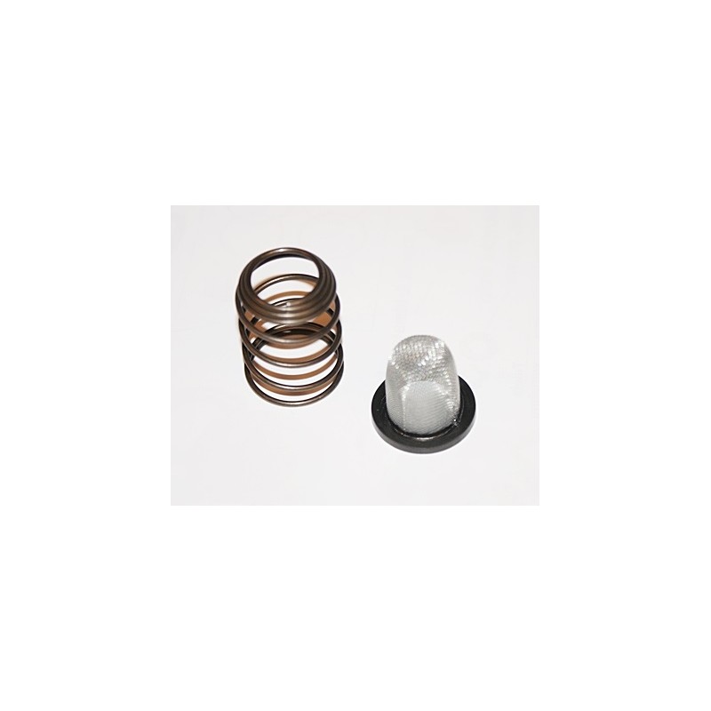 Spring oil filter 4t gy6