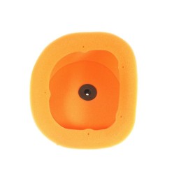 Sponge air filter twin air 154214