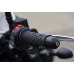 Barends Oxford handlebar weights 1, silver