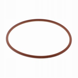 Oil filter O-ring seal beta rr gas gas ec