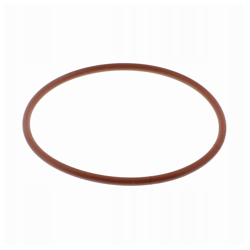 Oil filter O-ring seal beta rr gas gas ec